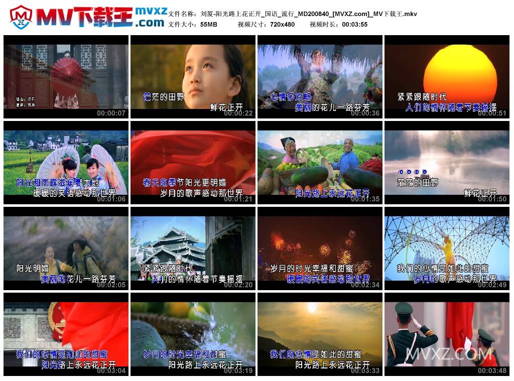 刘厦-阳光路上花正开_国语_流行_MD200840